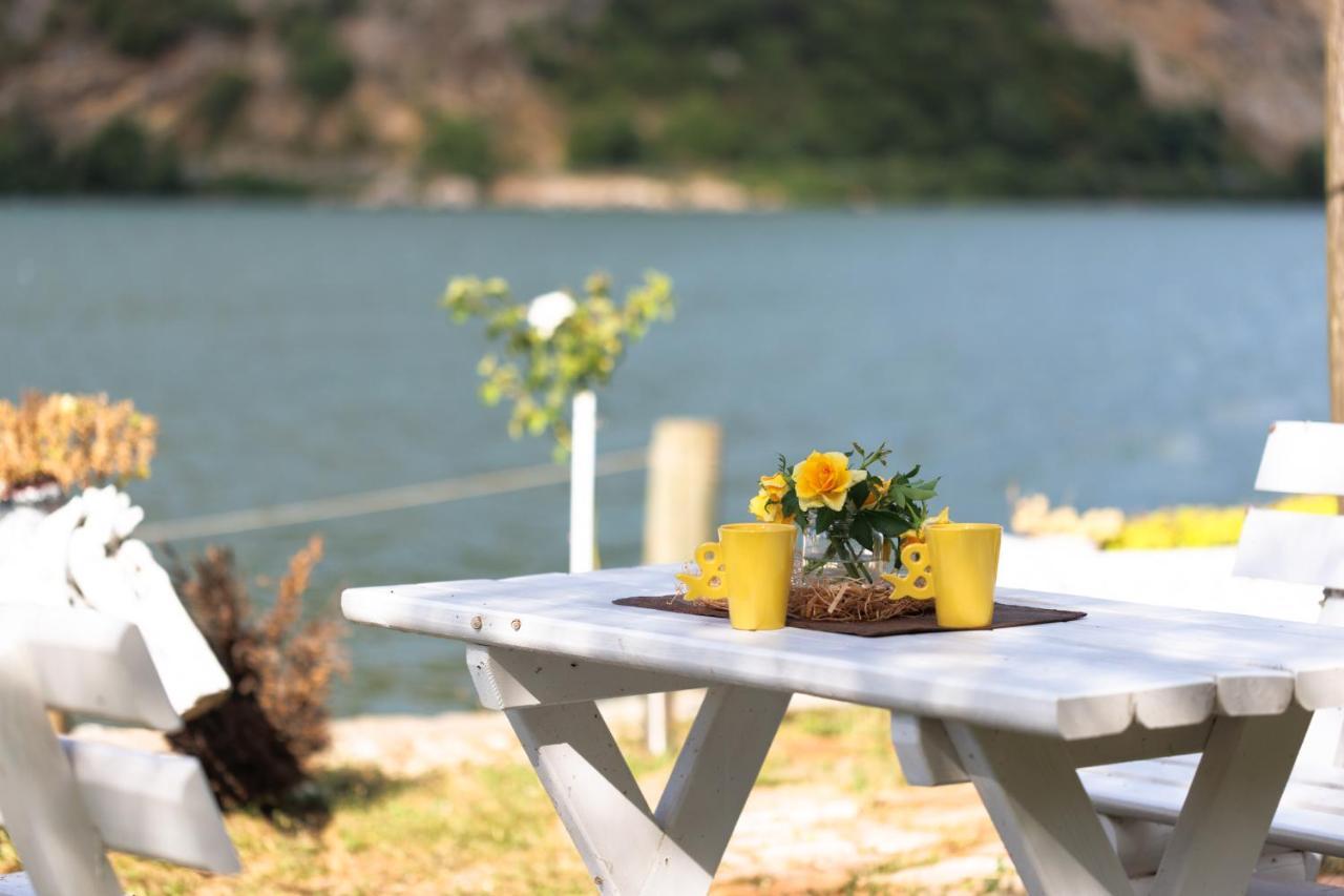Apartman Barka Golubac Exteriér fotografie
