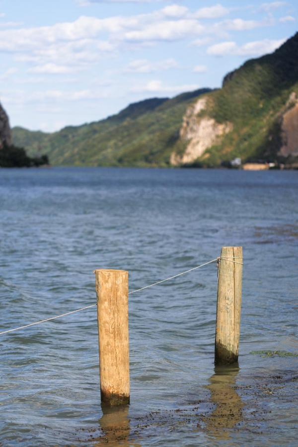 Apartman Barka Golubac Exteriér fotografie