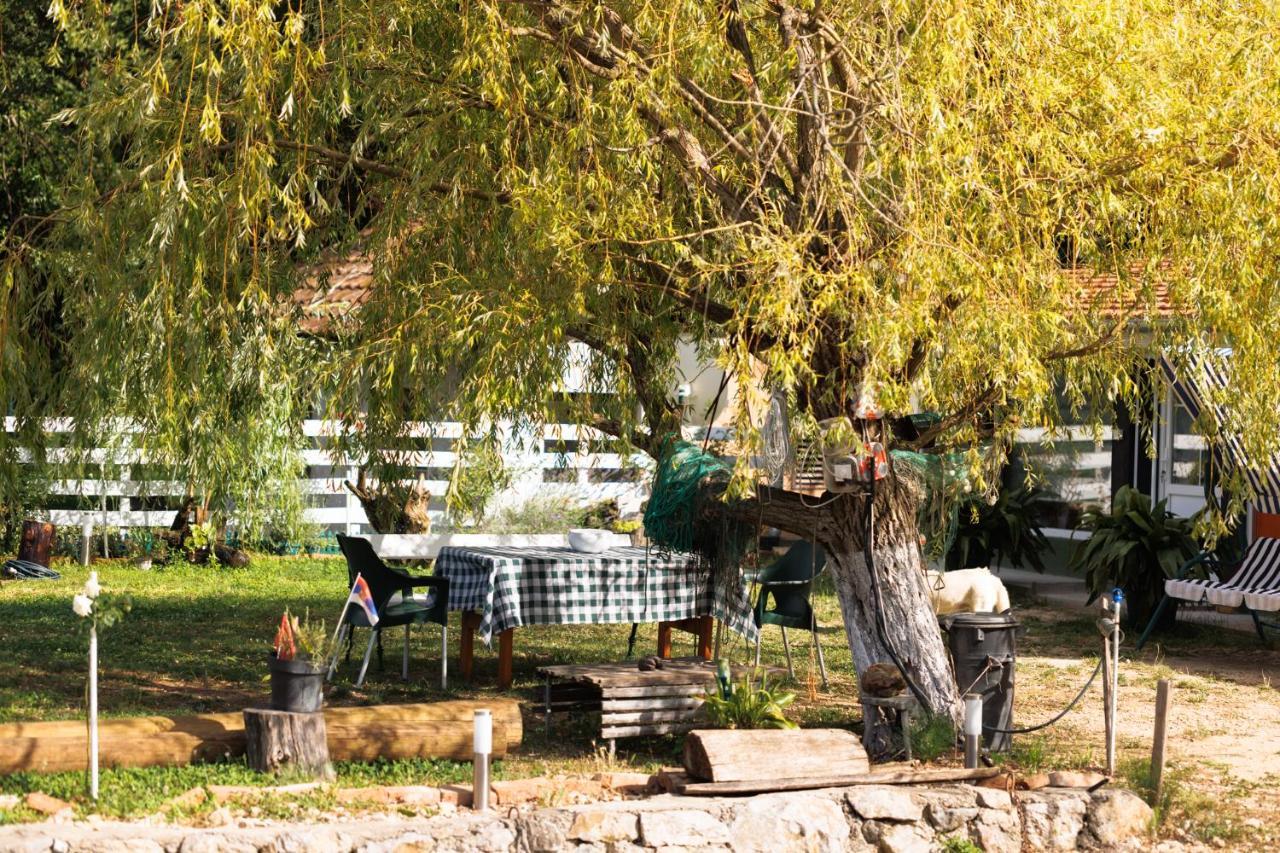 Apartman Barka Golubac Exteriér fotografie