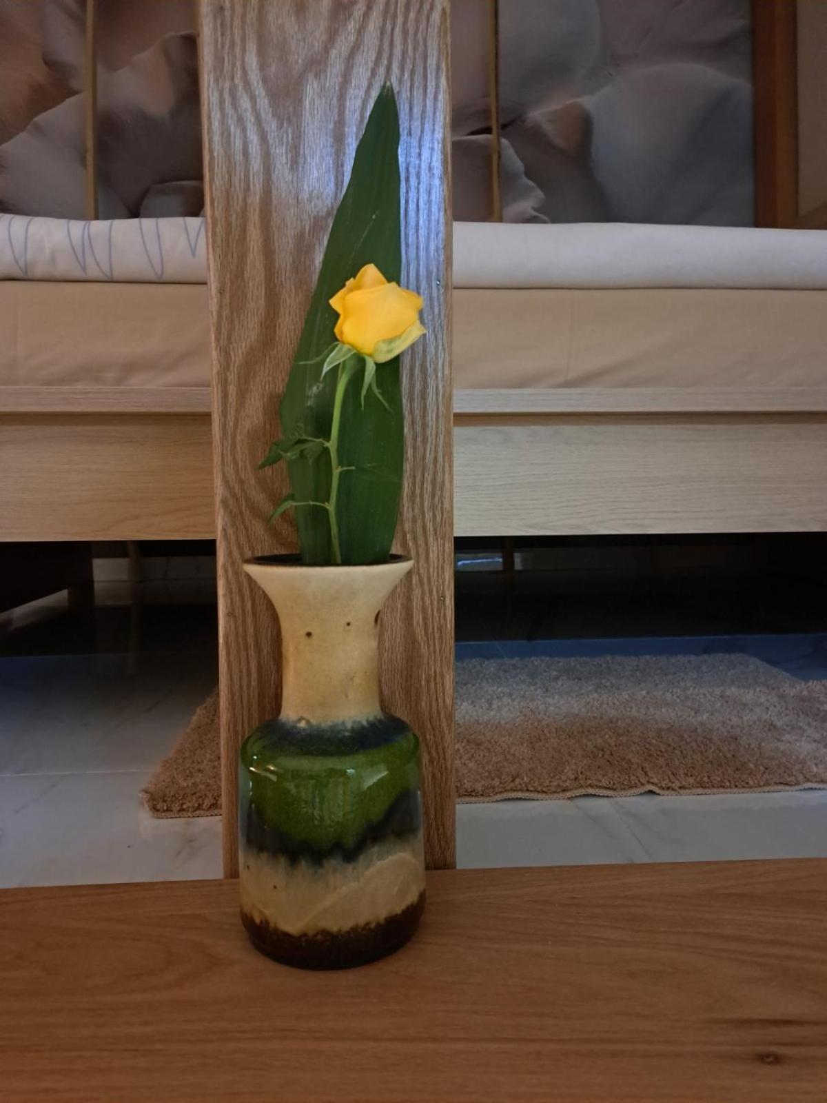 Apartman Barka Golubac Exteriér fotografie